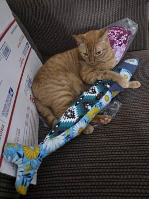 Woollypetals Sardine Pillow with orange cat and colorful fabric