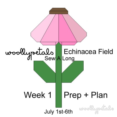 Echinacea Field Block SAL Week 1