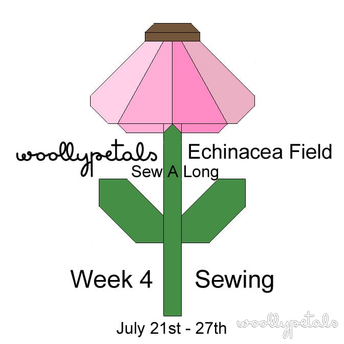 Echinacea Field Block SAL Week 4