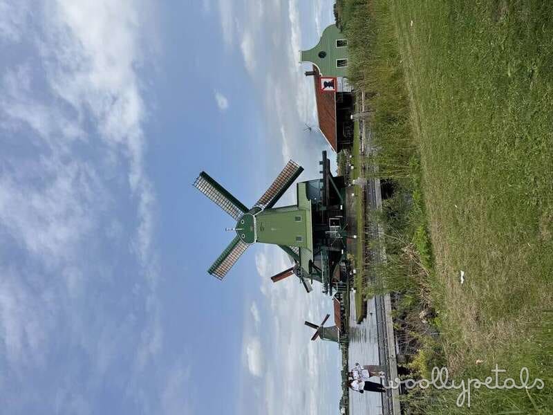 Traditional Dutch windmill with green body at Zaanse Schans in Amsterdam