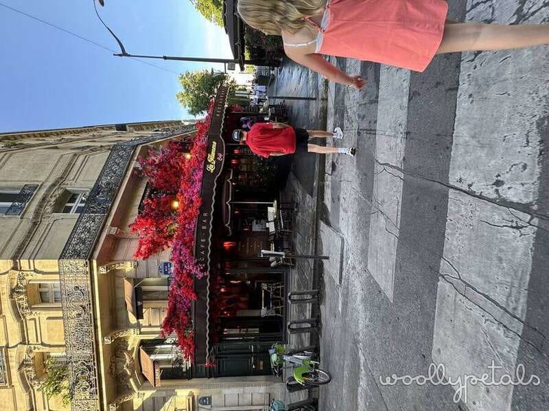 Woman in pink shirt standing in European street with red flowering vines