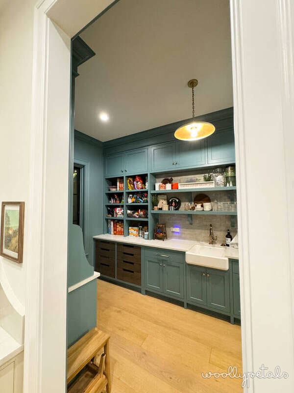 Kitchen pantry with teal cabinetry, open shelving, and pendant lighting